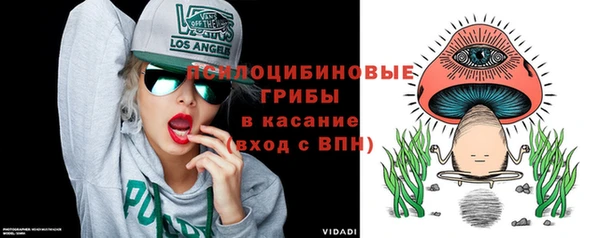 спайс Баксан