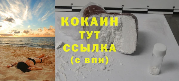 прущие грибы Балахна
