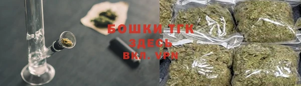 прущие грибы Балахна