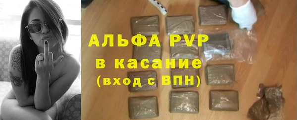 прущие грибы Балахна