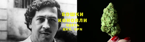 прущие грибы Балахна