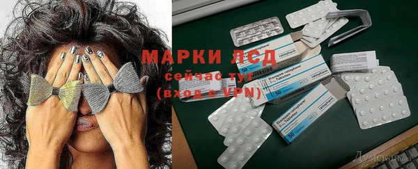 спайс Баксан