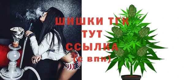 спайс Баксан
