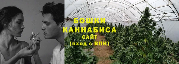 прущие грибы Балахна